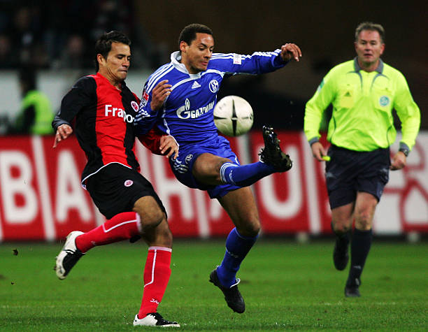 辛纳再次向 辛纳再次向