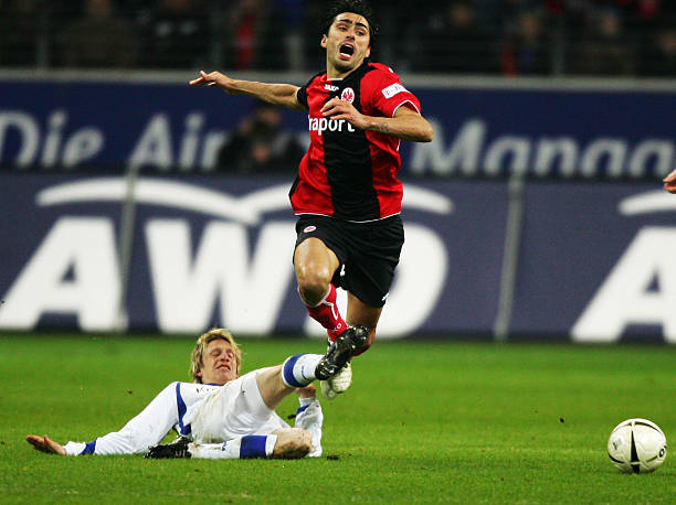 业内人士最 业内人士最